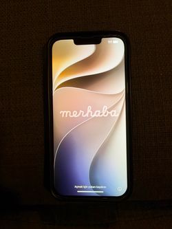 iPhone 13 Pro Max 256
