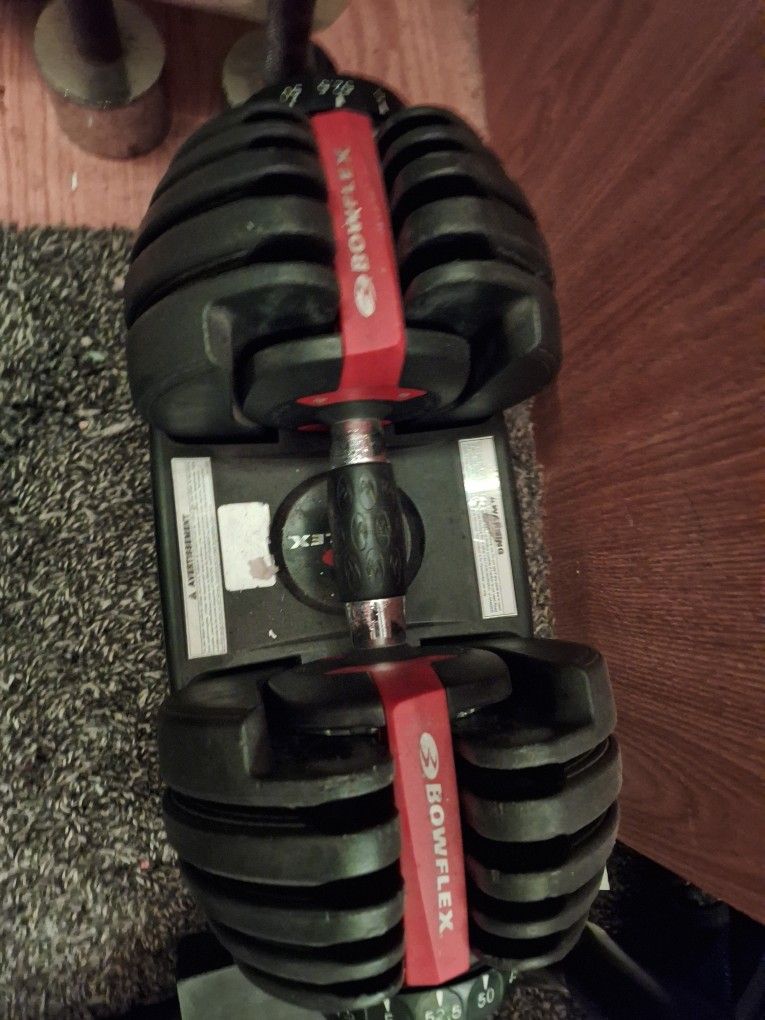 Adjustable Bowflex Dumbbell [SELL ASAP]