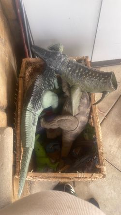 Dinosaurs Dinosaurs