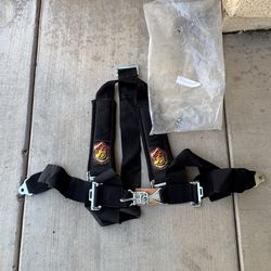 Dragon Fire RZR Seatbelt