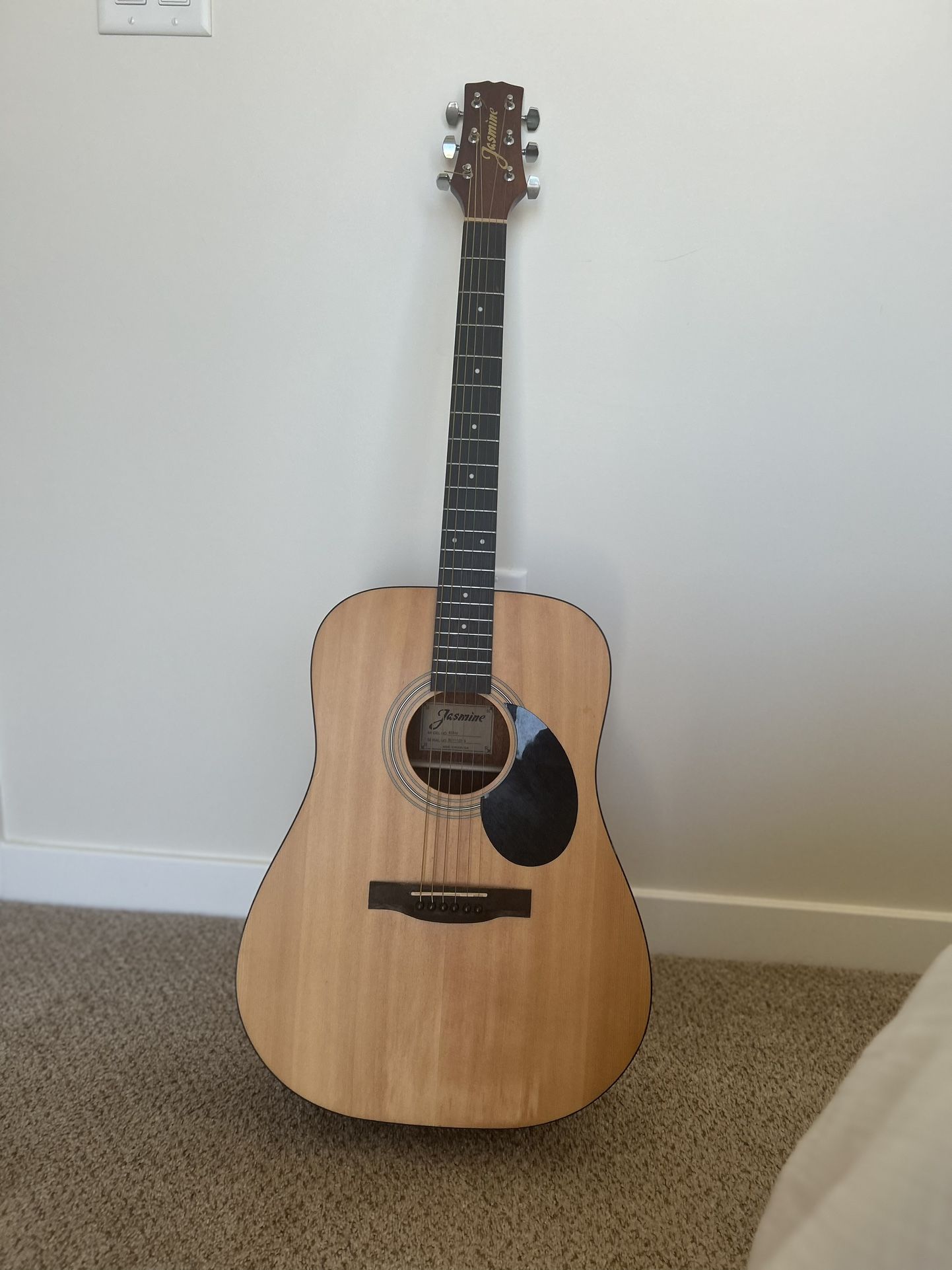 Acoustic Guitar 