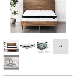 Chisme 12 Inch Plus Hybrid Twin Mattress 