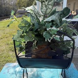 Metal Plant Basket with Silk Plant