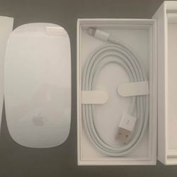 Magic Mouse 2