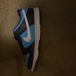 nike dunks , size 7 