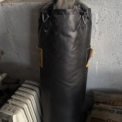Punching Bag