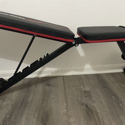 Adjustable Dumbbell & Bench Combo (Home Gym Setup)