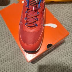 Men's Composite And Steeletoe Shoes