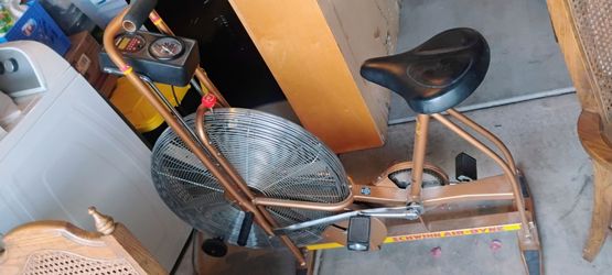 Schwinn Airdyne Exercise Bike