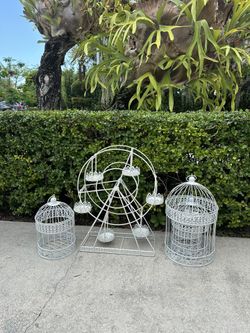 Farris Wheel And Bird cage