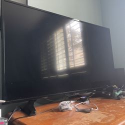 42 Inch Insignia Tv (1080p)
