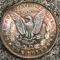 1887 Silver Morgan Dollar Toned