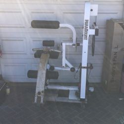 Paramount - Stomach/Back/Leg Exercise Machine