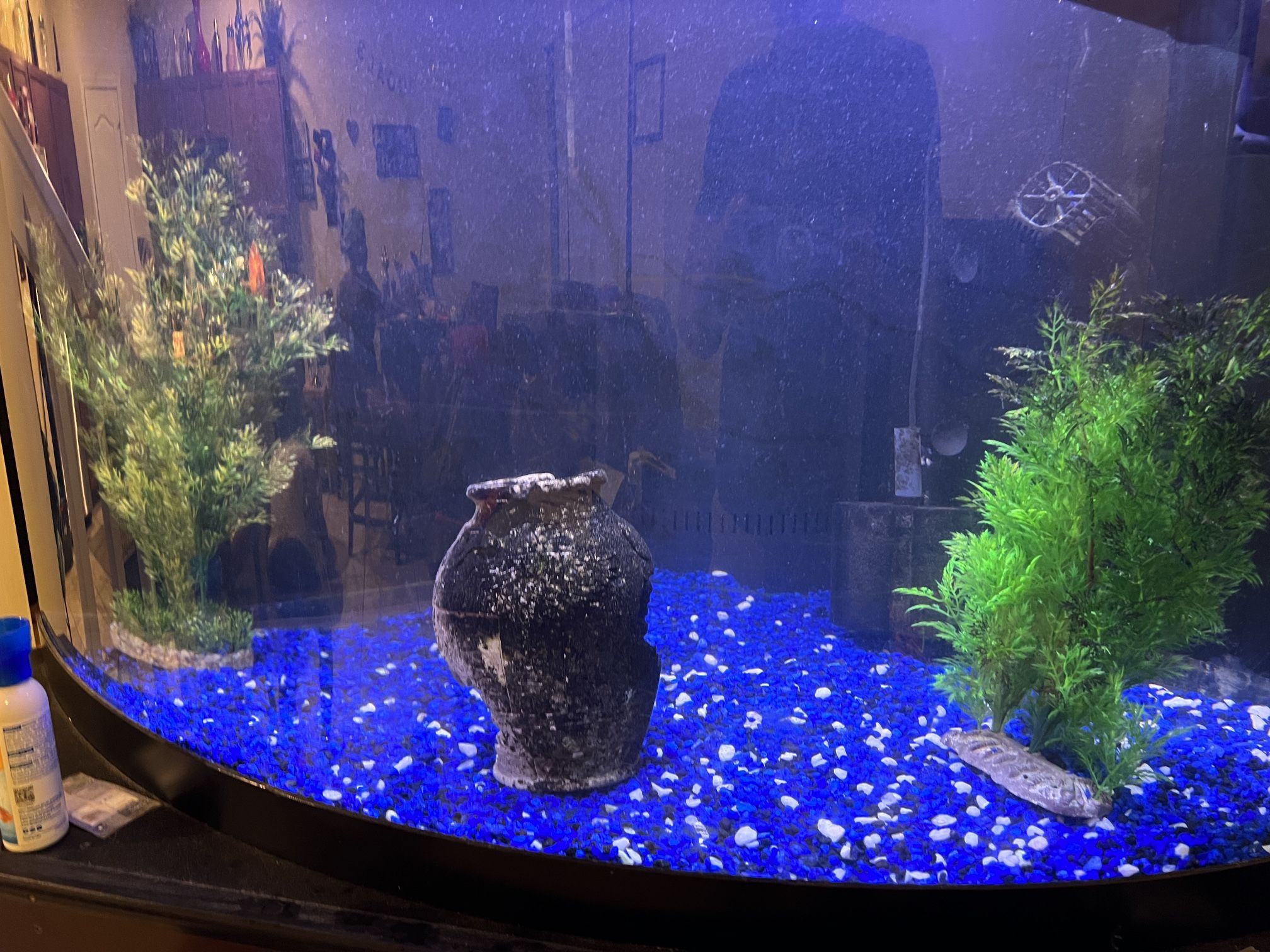 90 Gallon Corner Fish Tank