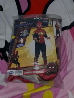 Spider-Man Costume
