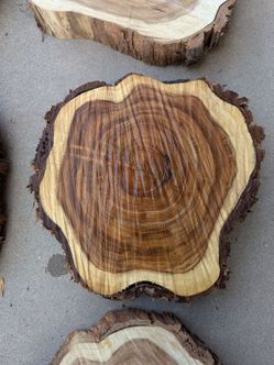 Large Mesquite Wood Rounds