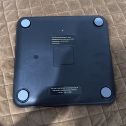 true scale talking scale 