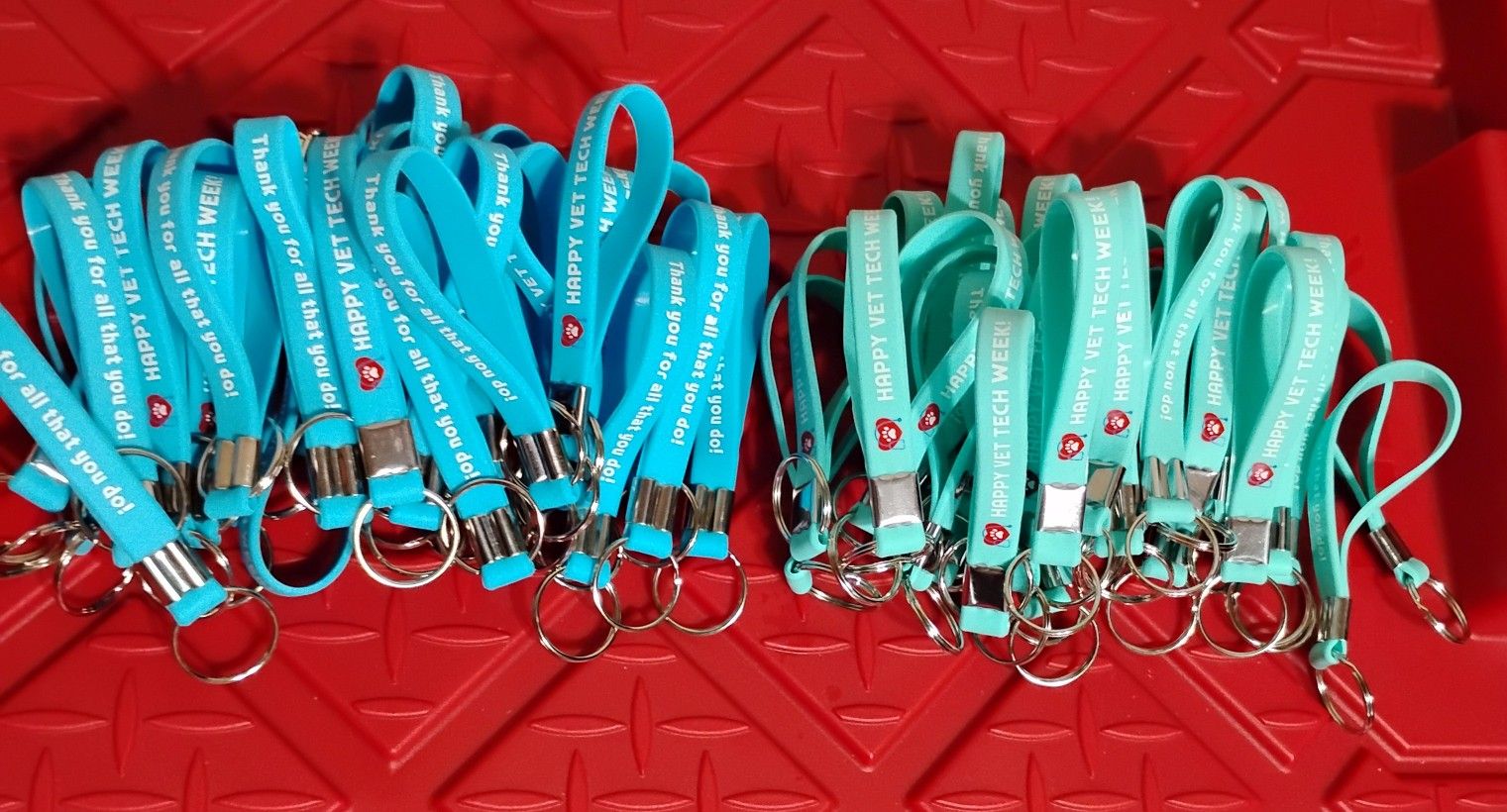 Vet Tech Keychains lot of 60