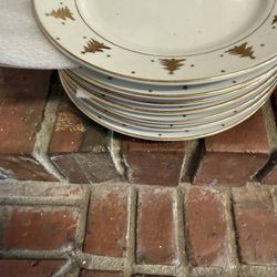 7     14K  Rim  Xmass Plates