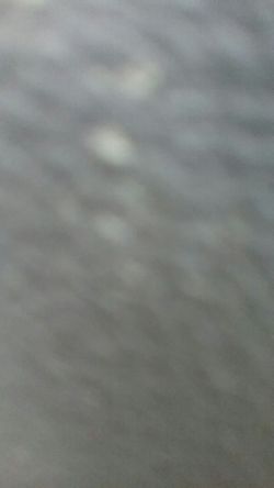 GONE..Free...3 seater burgundy sofa couch for pickup only