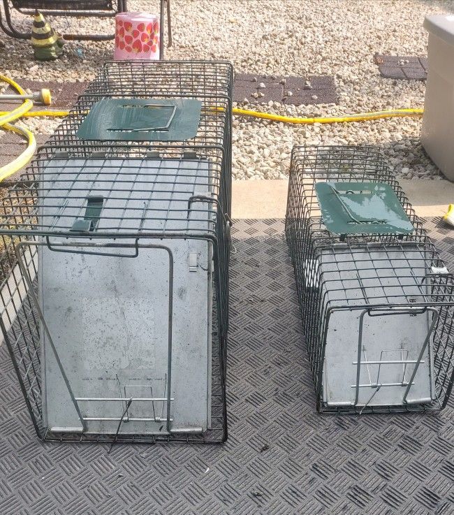 Animal Trap