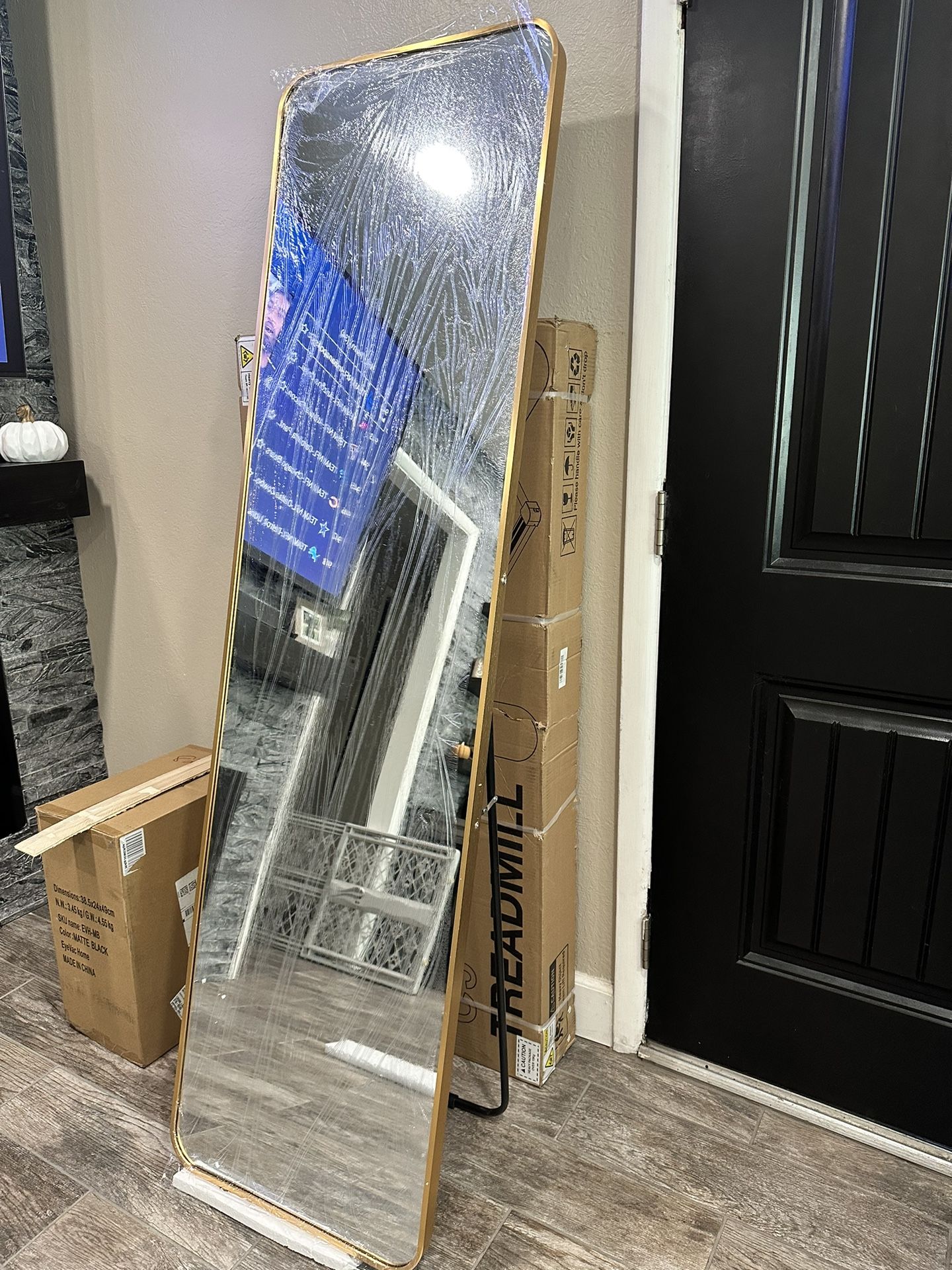 Full Body Mirror 71x20