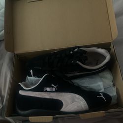 pumas