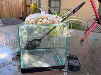 Little fish tank with LED light