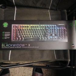 Razer Blackwidow V4 X Gaming Keyboard