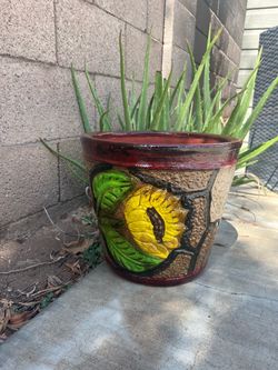 Maceta de Barro/ Clay planter