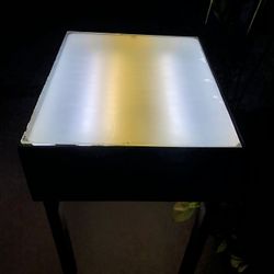 Artist / Craftsman , Hobbyist , Light Box