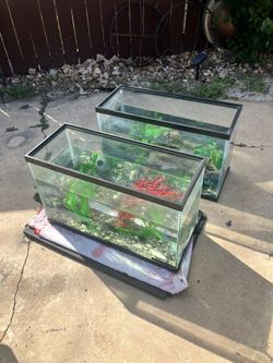 30 Gallon Tanks