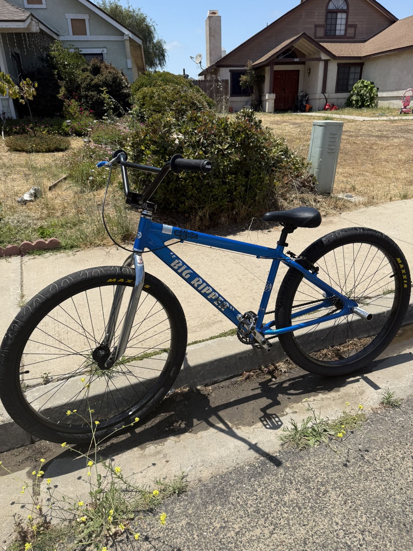 Se Bike Big Ripper