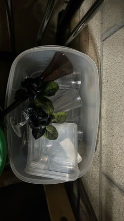 Free glassware