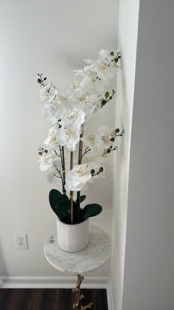 New fake orchid