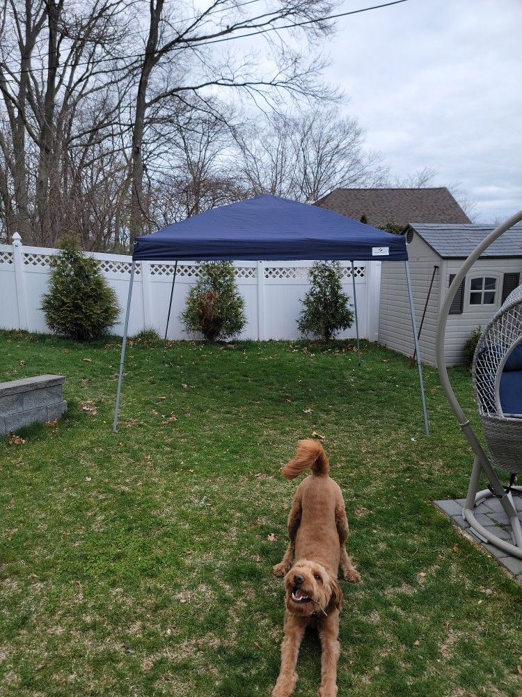 Sports Craft Pop Up Tent Canopy