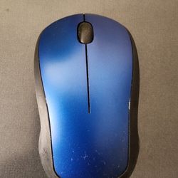 Mouse