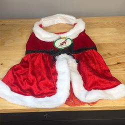 Christmas Dress Dog 