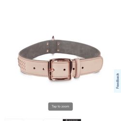 Bond & Co. Rose Gold or Grey Studded Collar for Big Dogs, XX-Large/3X-Large