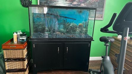 Fish Tank