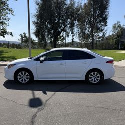 2020 Toyota Corolla LE – Low Miles, Clean, Super Reliable