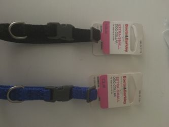 Small Dog Collars