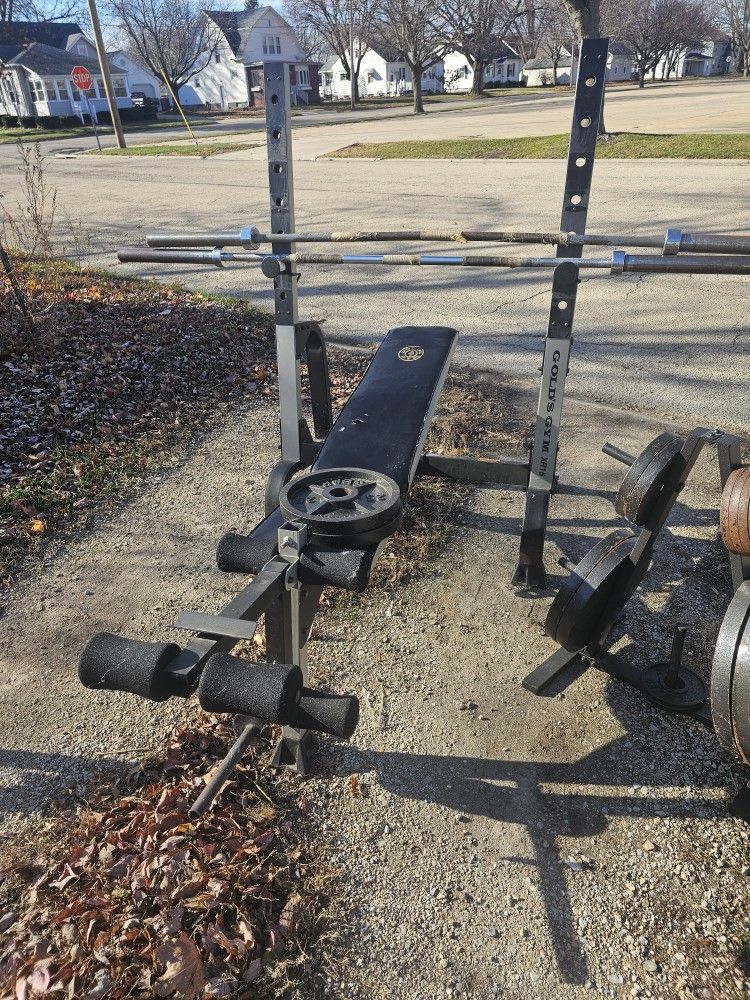 Golds Gym Adjustable Bench
