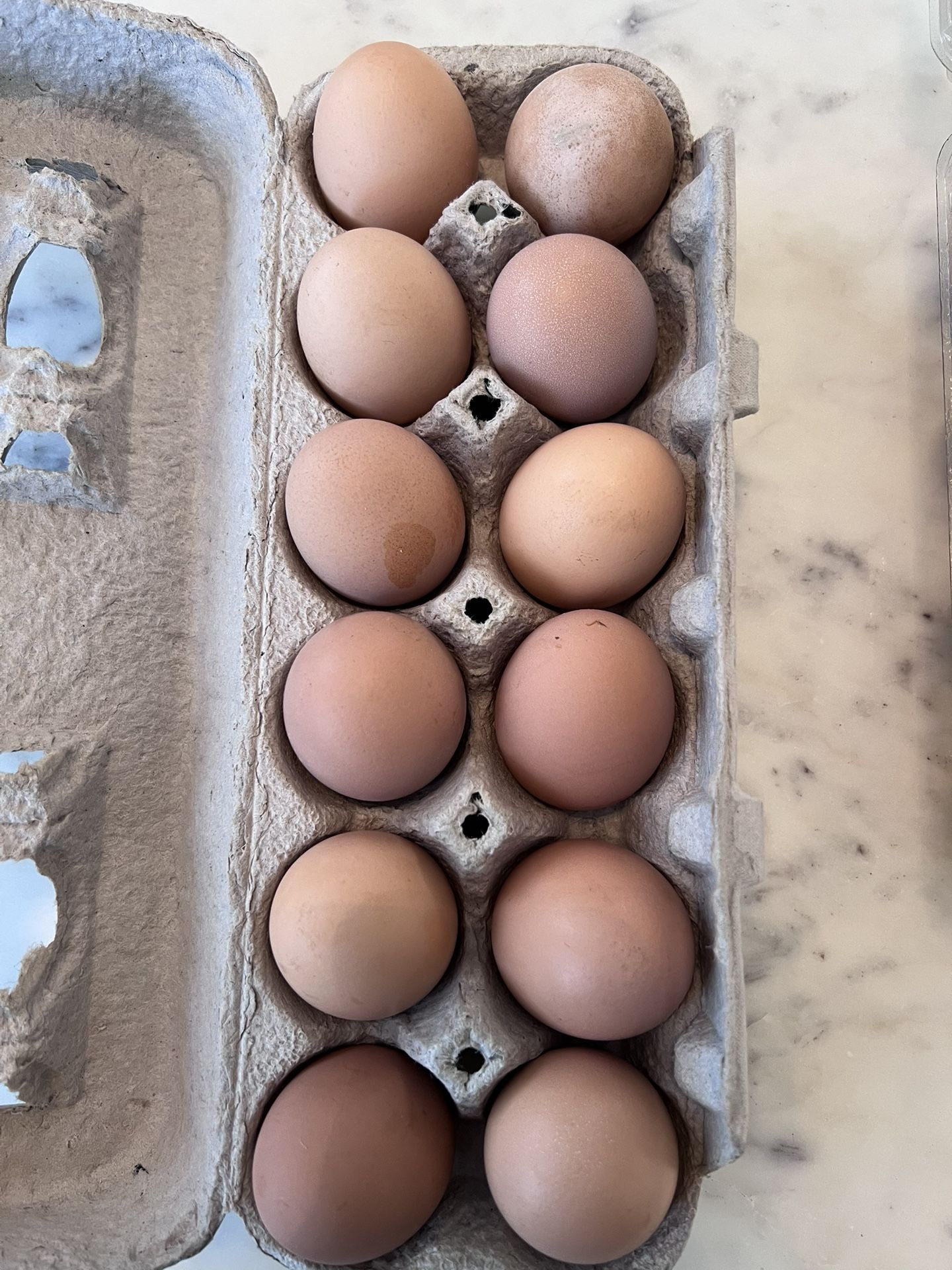 Fresh Eggs