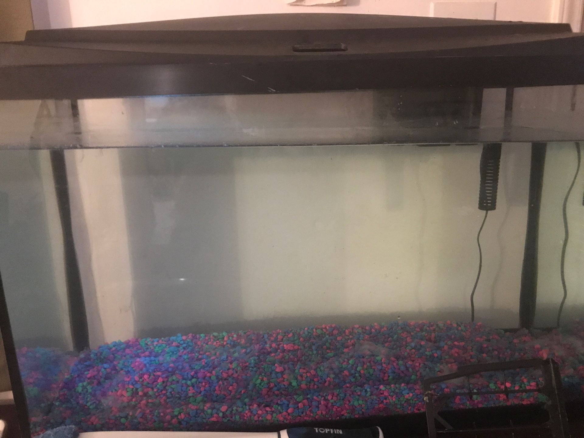 29 gallon fish tank