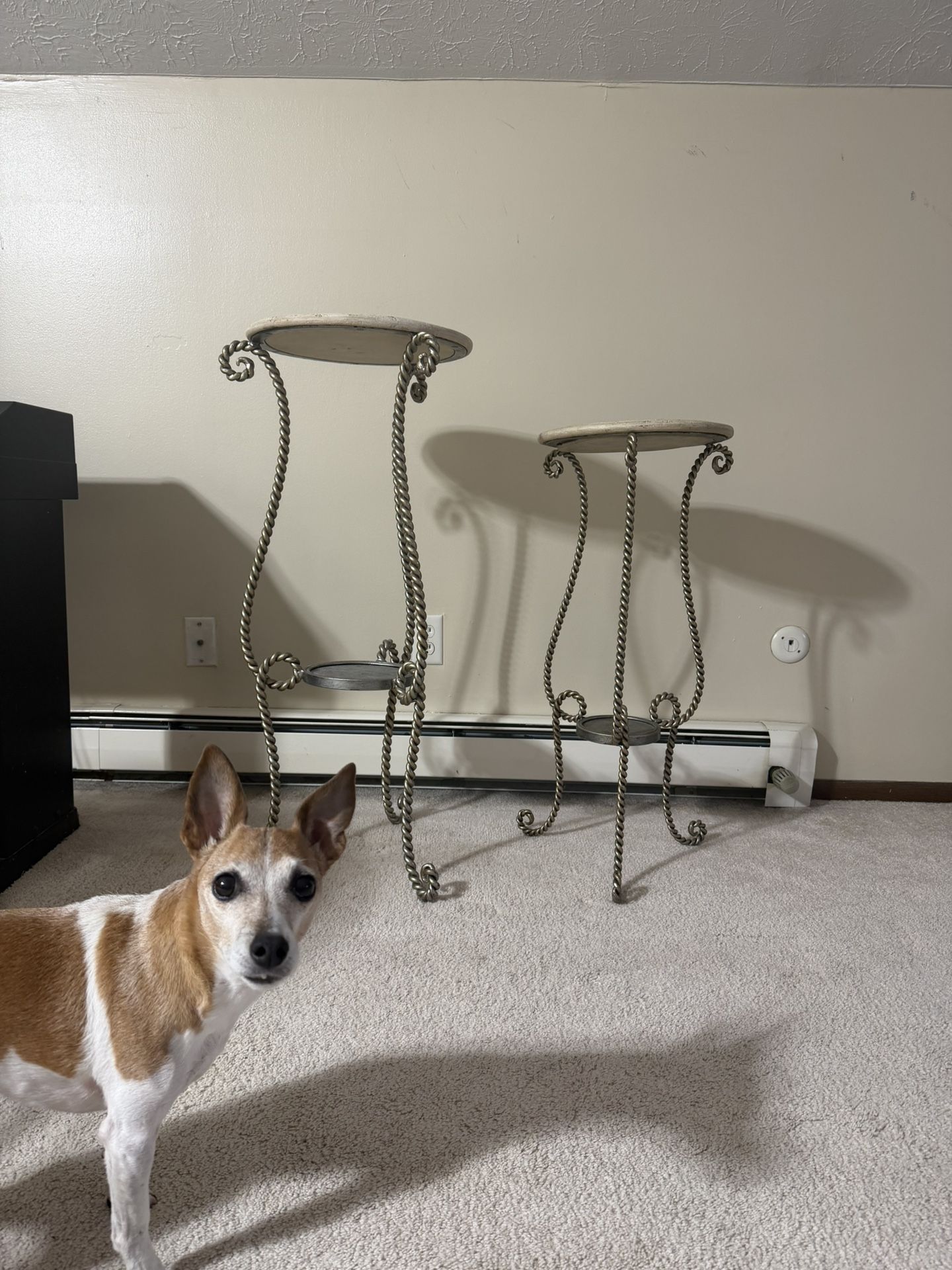 Vintage Twisted Wrought-Iron Plant Stands (Matching Pair) – $75