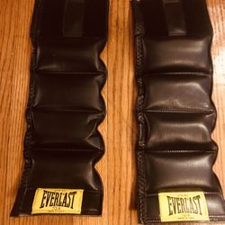 Vintage Everlast Weights