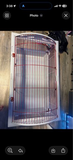 Guinea pig cage