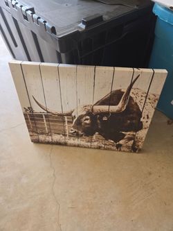 Texas Longhorn Steer Canves Wall Art