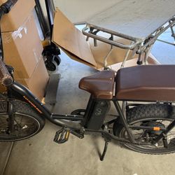 RAD POWER E-Bike 